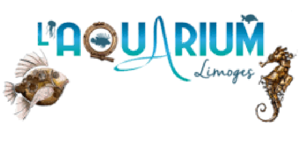 Aquarium Limoges