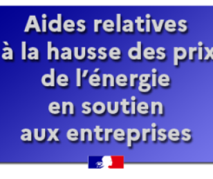 aides-relatives
