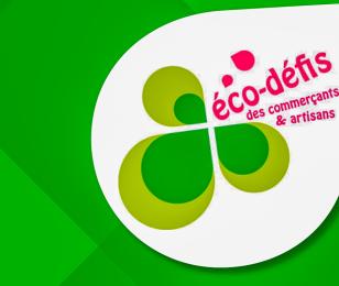 Eco defis