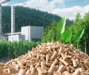 production de chaleur renouvelable bois energie