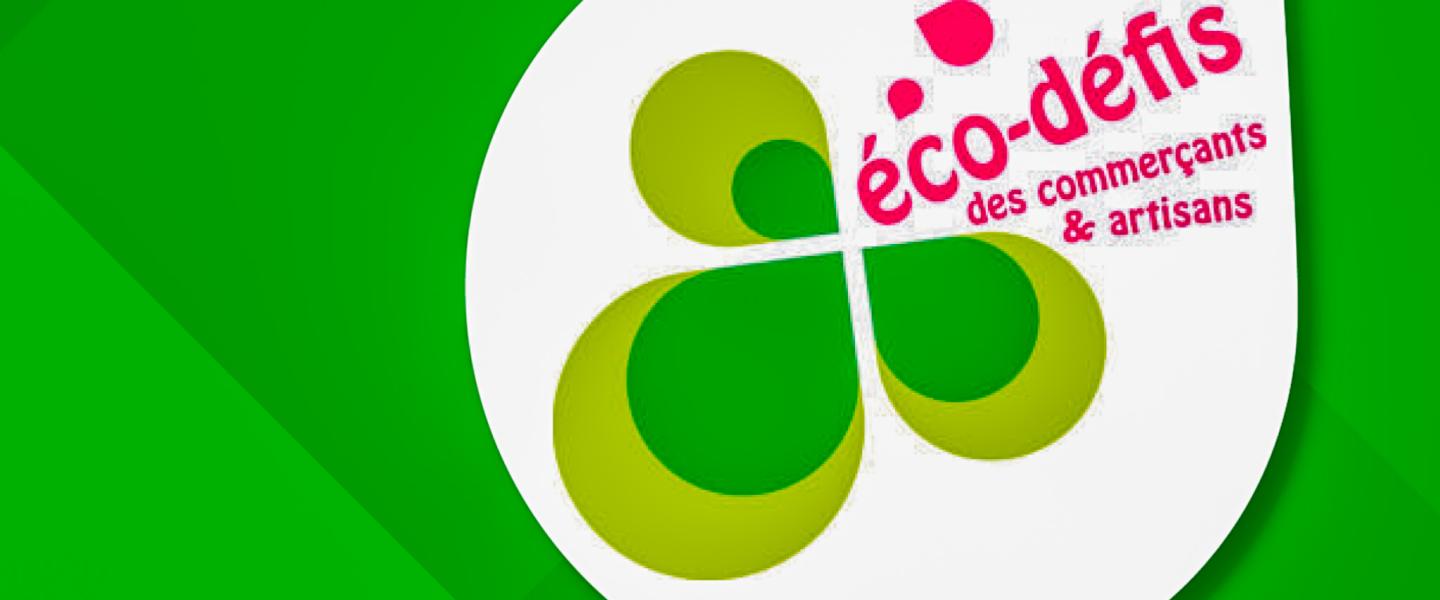 Eco defis
