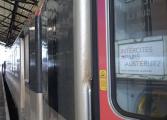 Train polt visuel 1